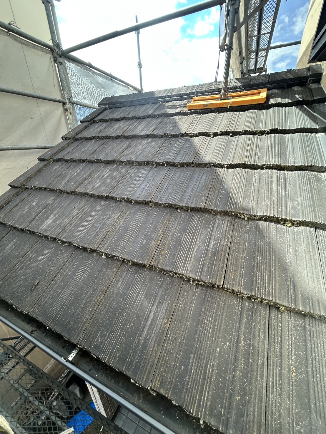 Before image